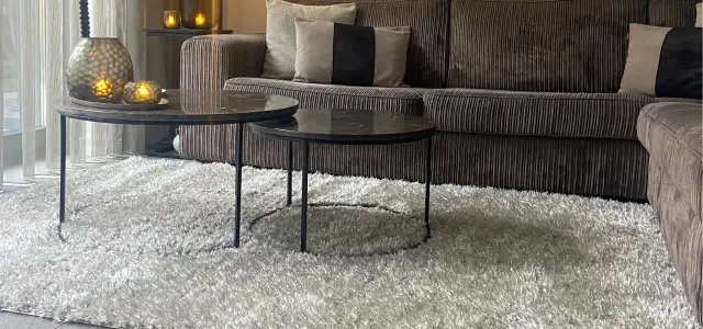 Przytulny salon z sofą w kolorze greige, dwoma stolikami kawowymi i puszystym dywanem.