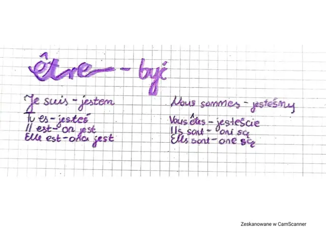 Odmiana Avoir: Czasy, idiomy mów po francusku bez błędów!