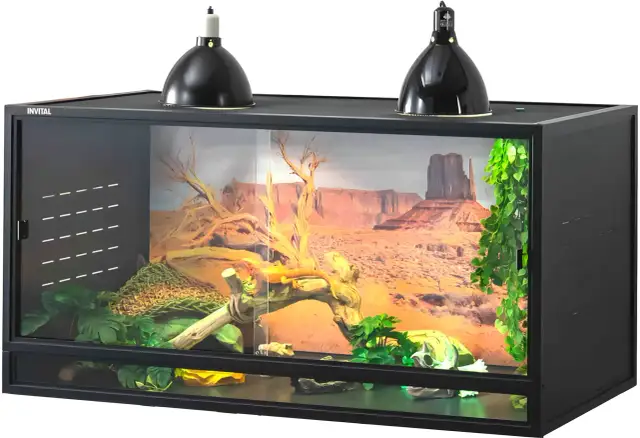 Jak zbudować terrarium dla żółwia? Praktyczny poradnik DIY