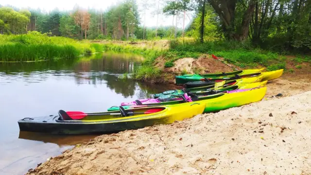 Kajaki Łódzkie: Gdzie na spływ? Przewodnik po rzekach i trasach