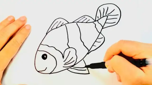 Jak narysować rybkę Nemo w prosty sposób – krok po kroku dla każdego