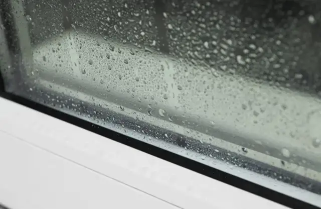 Dlaczego okna w domu są mokre? Oto przyczyny i skuteczne rozwiązania