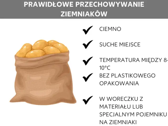 Jak przechowywać obrane ziemniaki na frytki? Chrupiące i bez czernienia!