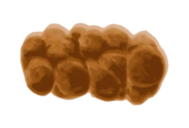 Jak wygląda kupka niemowlaka? Co mówi o zdrowiu Twojego dziecka?