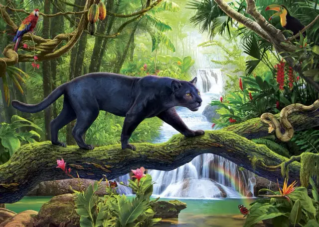 Jak wygląda czarna pantera - tajemnicza bestia z dżungli