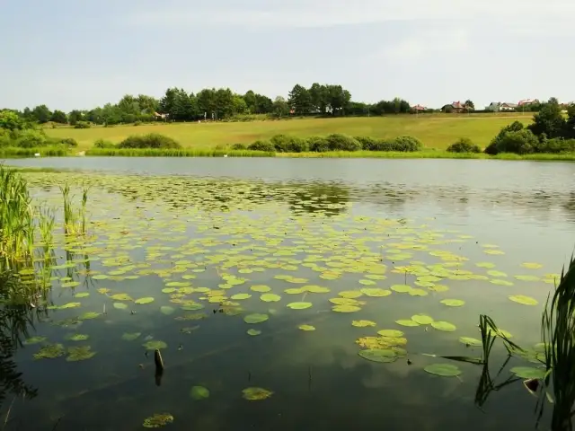 Jezioro Osowskie: Odkryj piękno natury i najlepsze atrakcje w okolicy