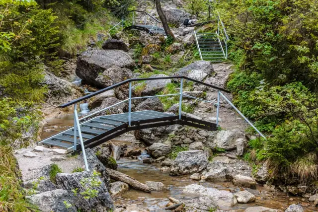 Metalowe mostki i schody prowadzą przez skalisty wąwóz potoku w rezerwacie przyrody Wąwóz Homole. Zdjęcia ukazują dziką przyrodę.