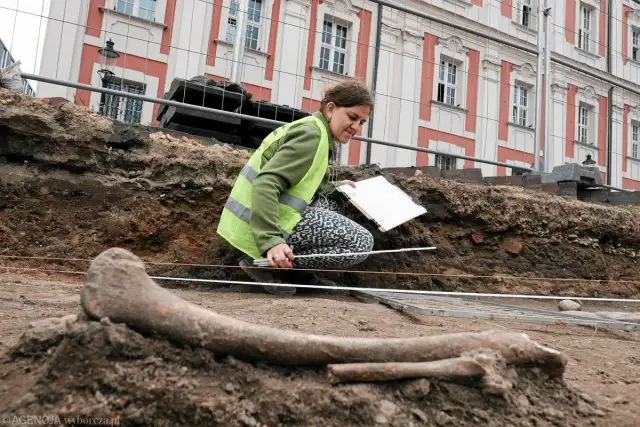 Ile stopni w Szczecinie? Poznaj klimat i planuj wyjazd!