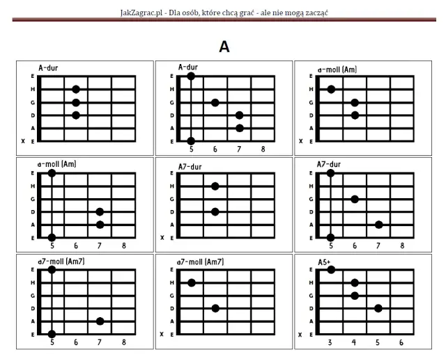 Baranek chwyty gitarowe – proste akordy, które musisz znać