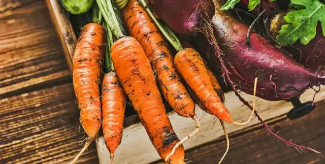 Jak przechowywać warzywa na zimę w piwnicy, aby uniknąć strat