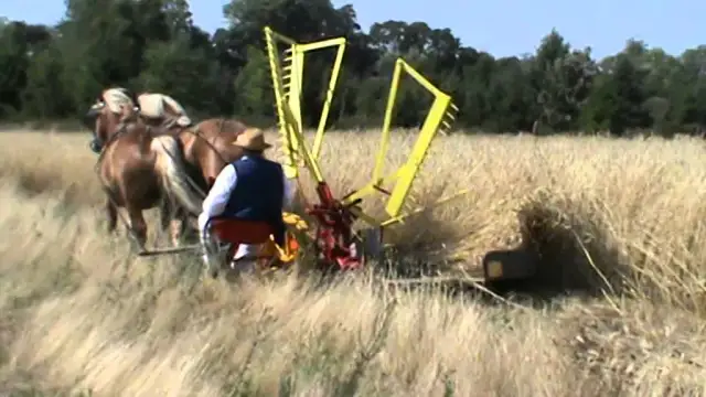Ile waży kosiarka konna? Kluczowe informacje dla użytkowników