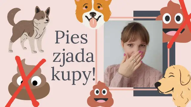 Szczeniak zjada swoje odchody - jak skutecznie temu zapobiec?