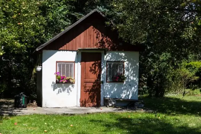 Kiedy nawozić trawnik wiosną? Poradnik eksperta Karol Wiśniewski