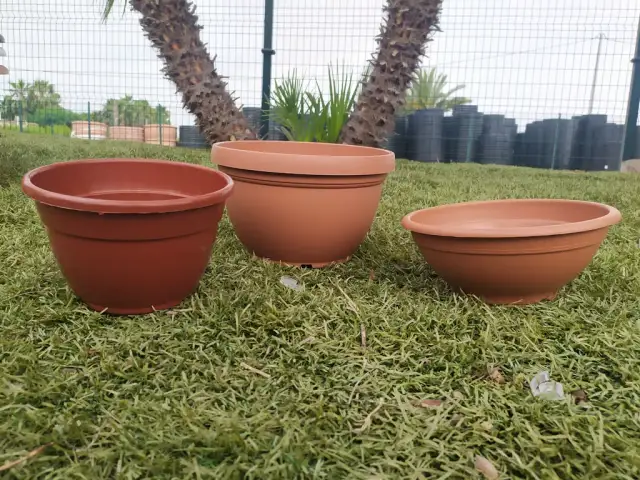 Cómo elegir la mejor pintura para macetas de barro y evitar errores