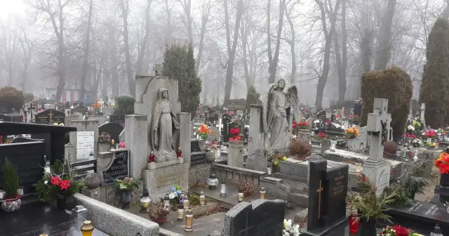 Kamienne nagrobki i rzeźby aniołów na mglistym cmentarzu.