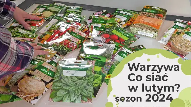 Co można uprawiać w różnych warunkach? Odkryj najlepsze rośliny