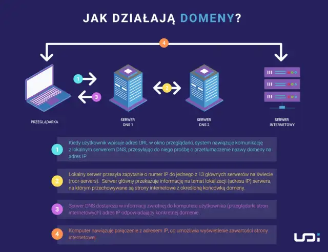 Domena internetowa: Co to jest? Jak działa? Wybierz idealną!