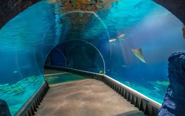 Oceanarium 3D Warszawa – nieaktualne informacje o atrakcji