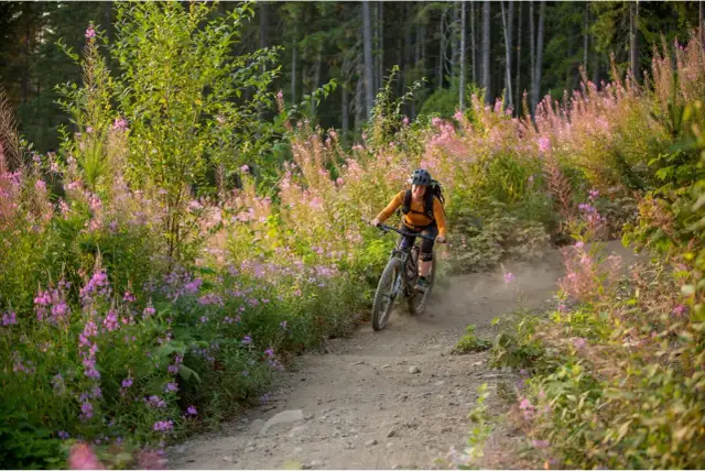 Jaki rower dla kobiety - wybierz idealny model dla swojego stylu życia