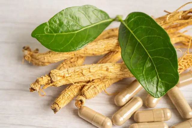 Korzeń żeń-szenia i kapsułki. Dowiedz się, co to adaptogeny i jak mogą wspierać organizm.