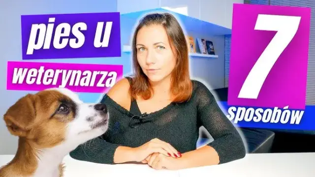 Jak zwracać się do weterynarza, by uniknąć niezręcznych sytuacji?