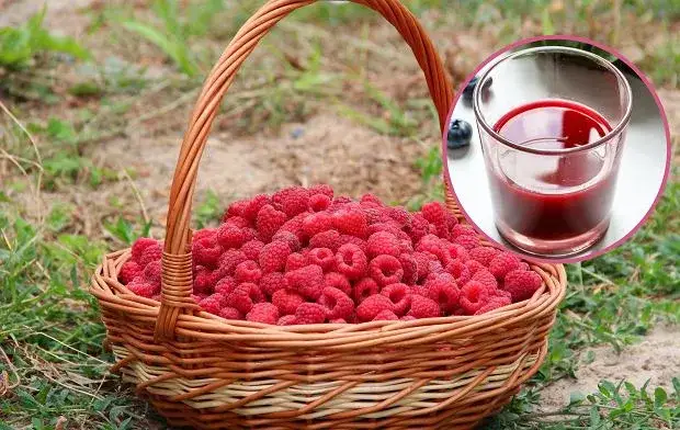 Sok z malin na przeziębienie: babciny sposób, który naprawdę działa!