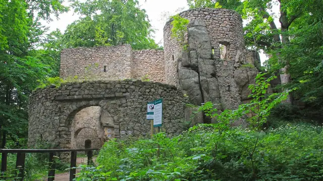 Kamienne ruiny zamku w Janowicach Wielkich, otoczone bujną zielenią, to jedne z najciekawszych atrakcji regionu.