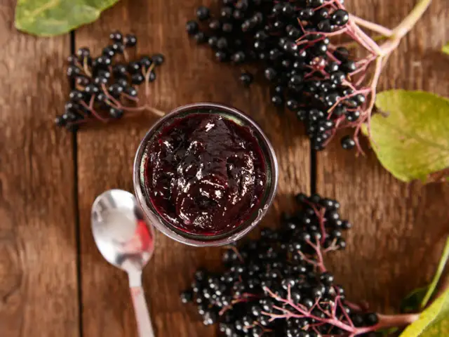 Syrop z czarnego bzu: Na co pomaga? Właściwości, dawkowanie i przepisy
