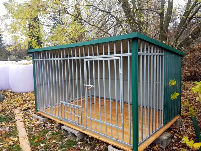 Ile kosztuje kojec dla psa? Ceny, które mogą Cię zaskoczyć