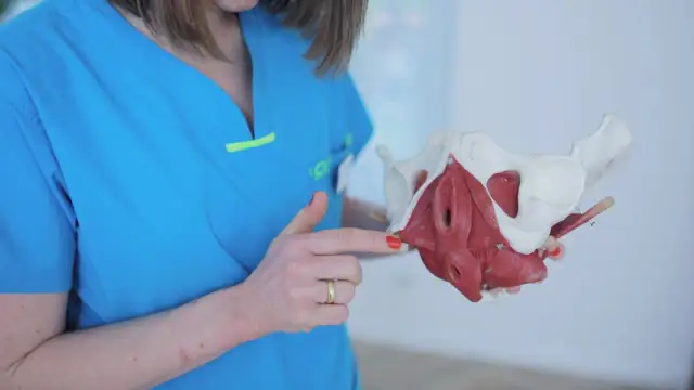 Fizjoterapeuta uroginekologiczny: wizyta krok po kroku bez obaw