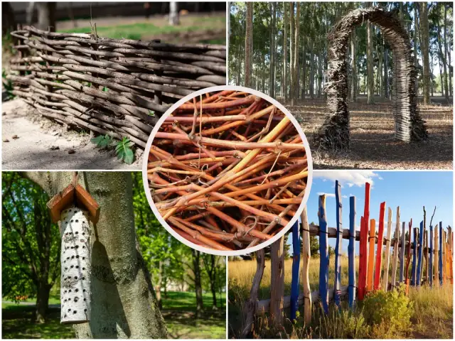 Płot z gałęzi: Jak zrobić ekologiczne ogrodzenie krok po kroku?