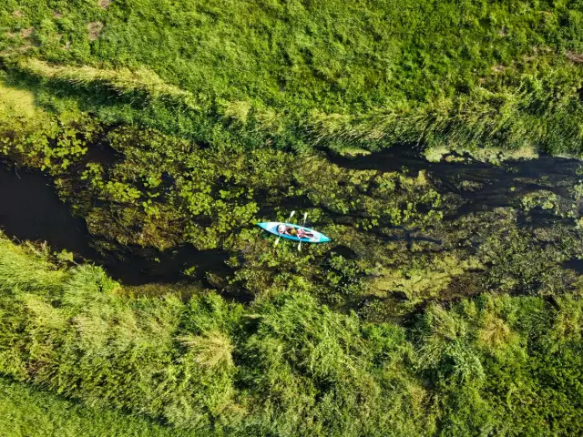 Spływ kajakowy Liwcem: Trasy, ceny, porady idealny plan