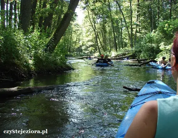 Spływ kajakowy Piławą: Łatwy szlak, piękne widoki. Jak zaplanować?