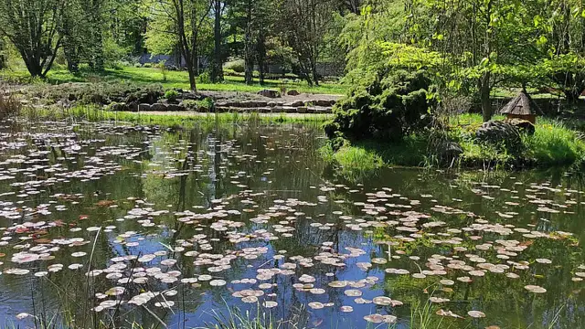 Atrakcje w arboretum w Rogowie, które musisz zobaczyć podczas wizyty
