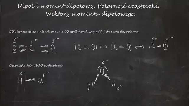 Co to jest wektor w biologii? Klucz do inżynierii genetycznej