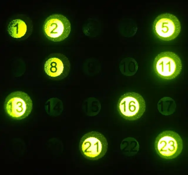 Czy warto grać w lotto? Odkryj prawdę o szansach i stratach