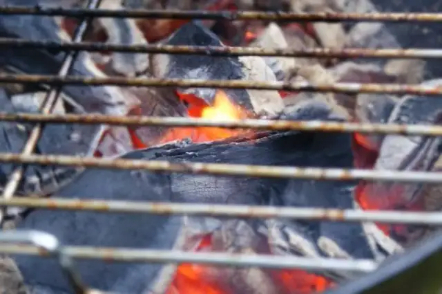Gdzie można zrobić grilla w Wrocławiu? Odkryj najlepsze miejsca