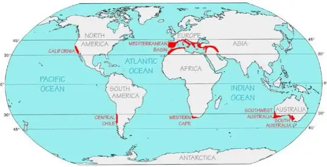 Gdzie występuje klimat morski? Odkryj zaskakujące lokalizacje