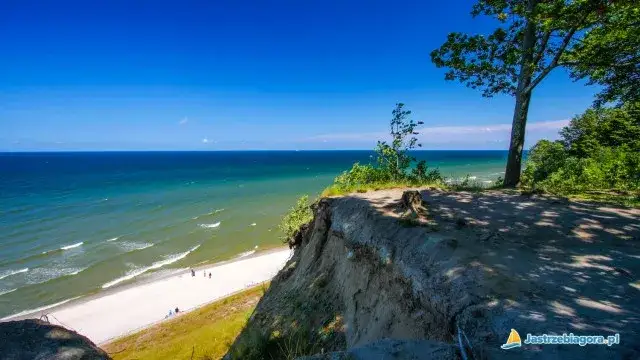 Jastrzębia Góra: Atrakcje dla każdego klify, plaże, Rozewie i nie tylko!
