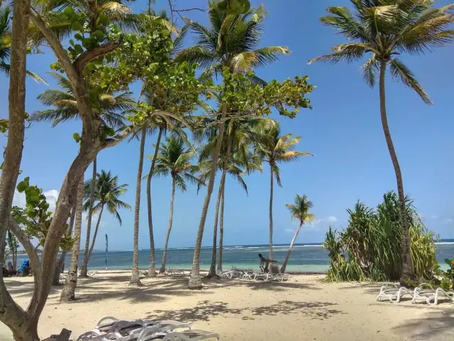 Najlepsze atrakcje w Gwadelupie, które musisz zobaczyć podczas wakacji