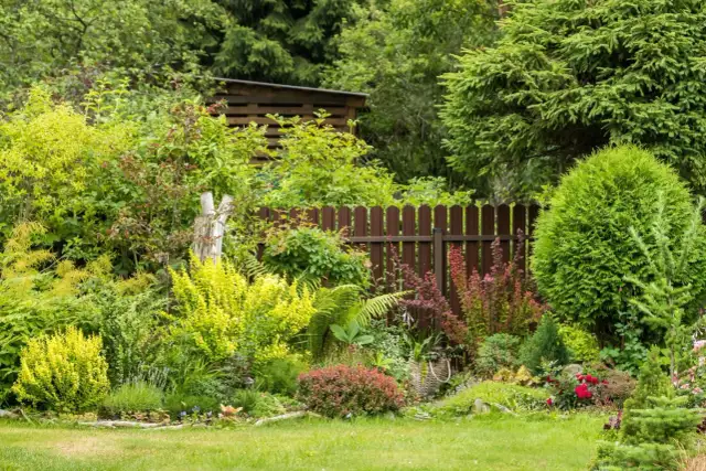 Co posadzić w rogu ogrodu? 10 najlepszych roślin i pomysłów