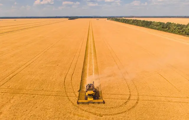 Kto uprawia ziemię na Ukrainie i jak wojna wpływa na rolnictwo?