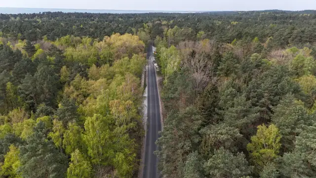 Jak dojechać do Krynicy Morskiej samochodem - uniknij korków i utrudnień