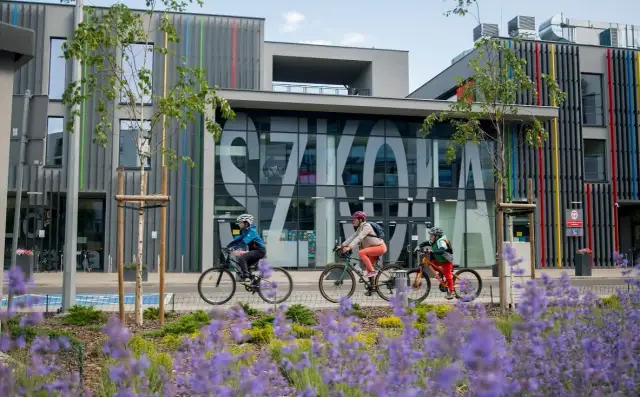 Ile placówek oświatowych w Polsce? Pełne dane i struktura 2024/25