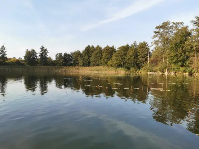 Łowisko Łopienno: Idealne miejsce na wędkowanie i relaks w naturze