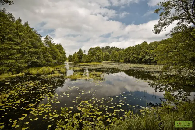 Suwalszczyzna: Baśniowa kraina? TOP miejsca i praktyczny przewodnik