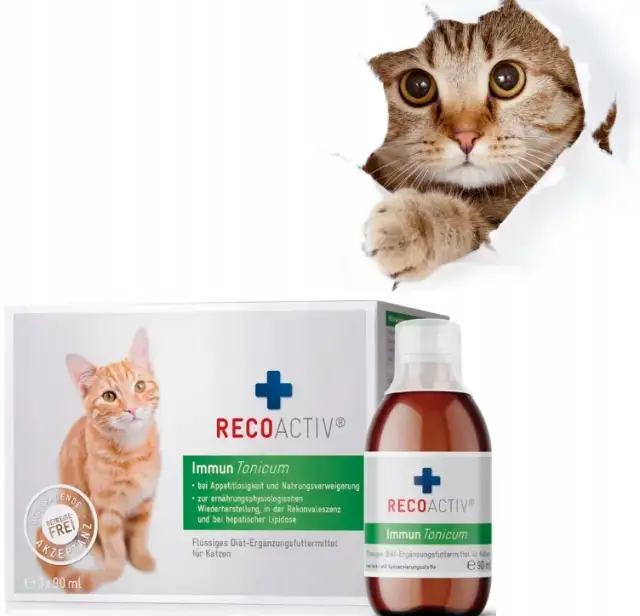 Jakie suplementy dla kota mogą poprawić jego zdrowie i samopoczucie?