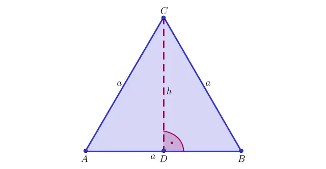 Jak obliczyć wysokość w trójkącie równobocznym? Wzór i Pitagoras