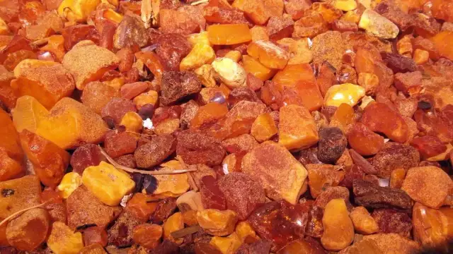 Gdzie szukać bursztynów nad Bałtykiem? Odkryj najlepsze miejsca!