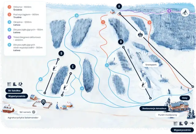 Kiczera snowpark - najlepsze trasy i atrakcje dla snowboardzistów